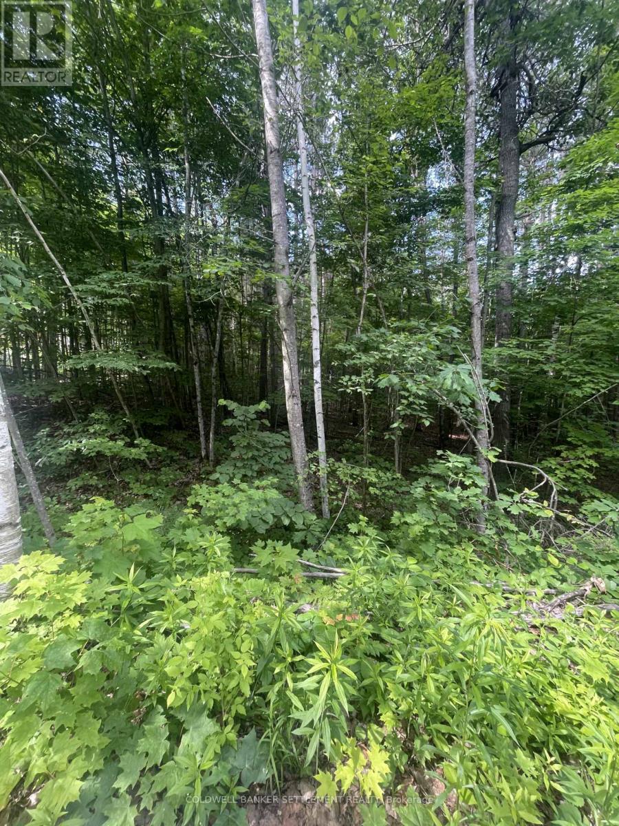 0 Pond Road Property Photo 1