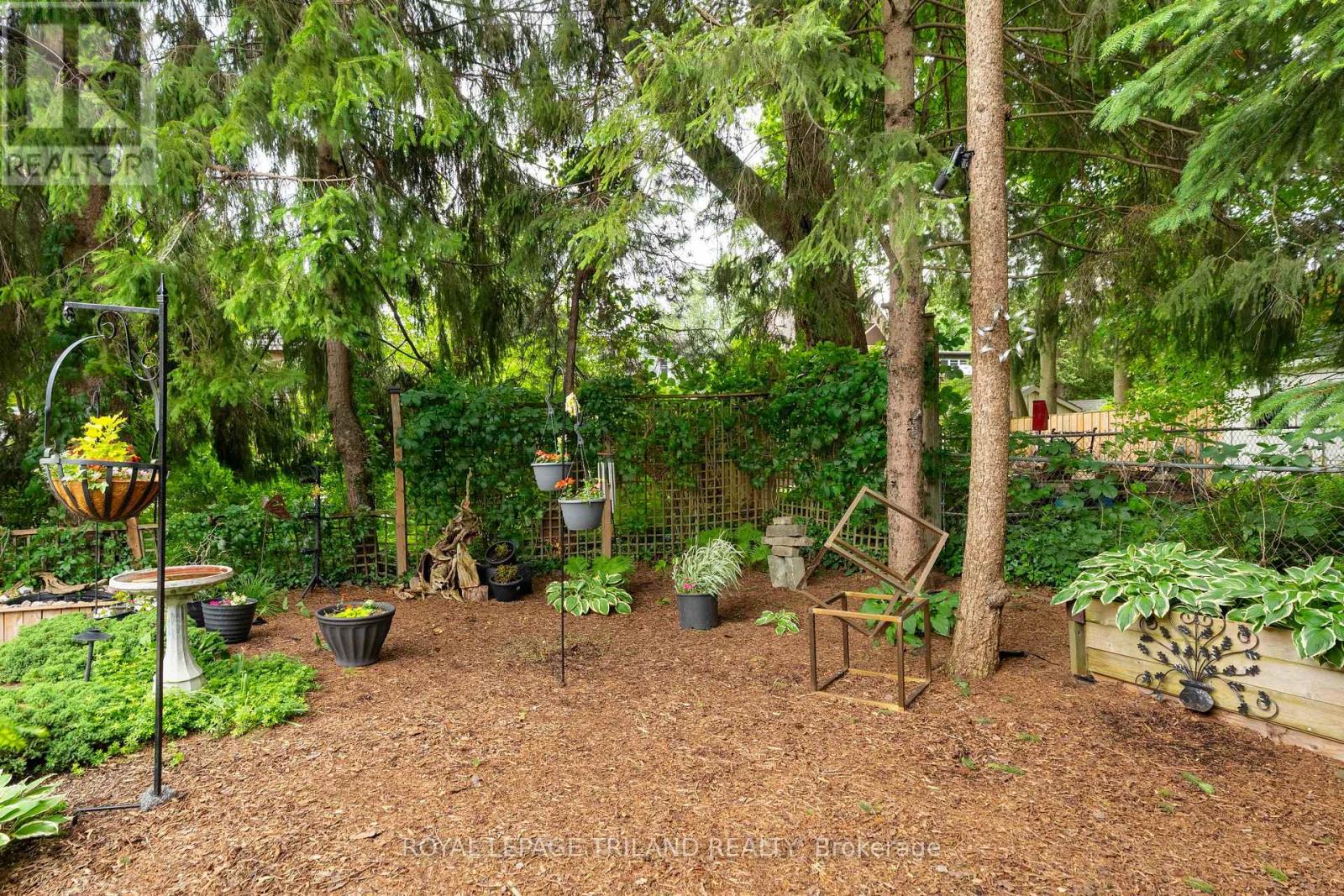 31 Chalmers Street Property Photo 39