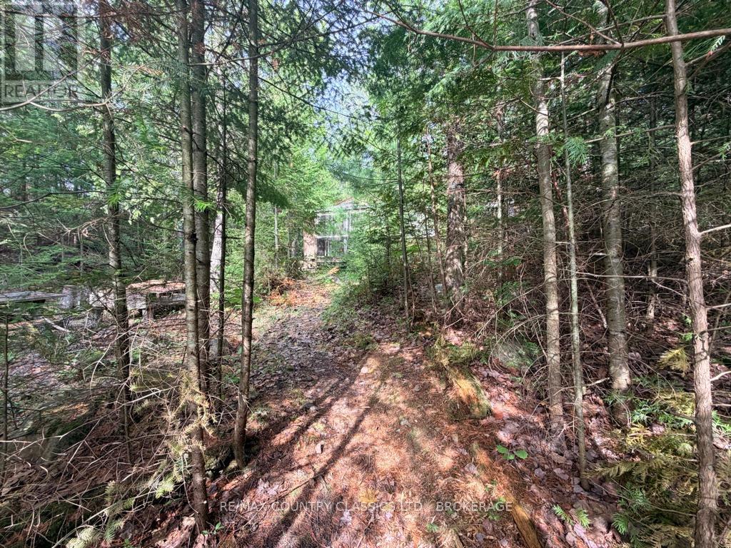 860 Mazinaw Lake Property Photo 3
