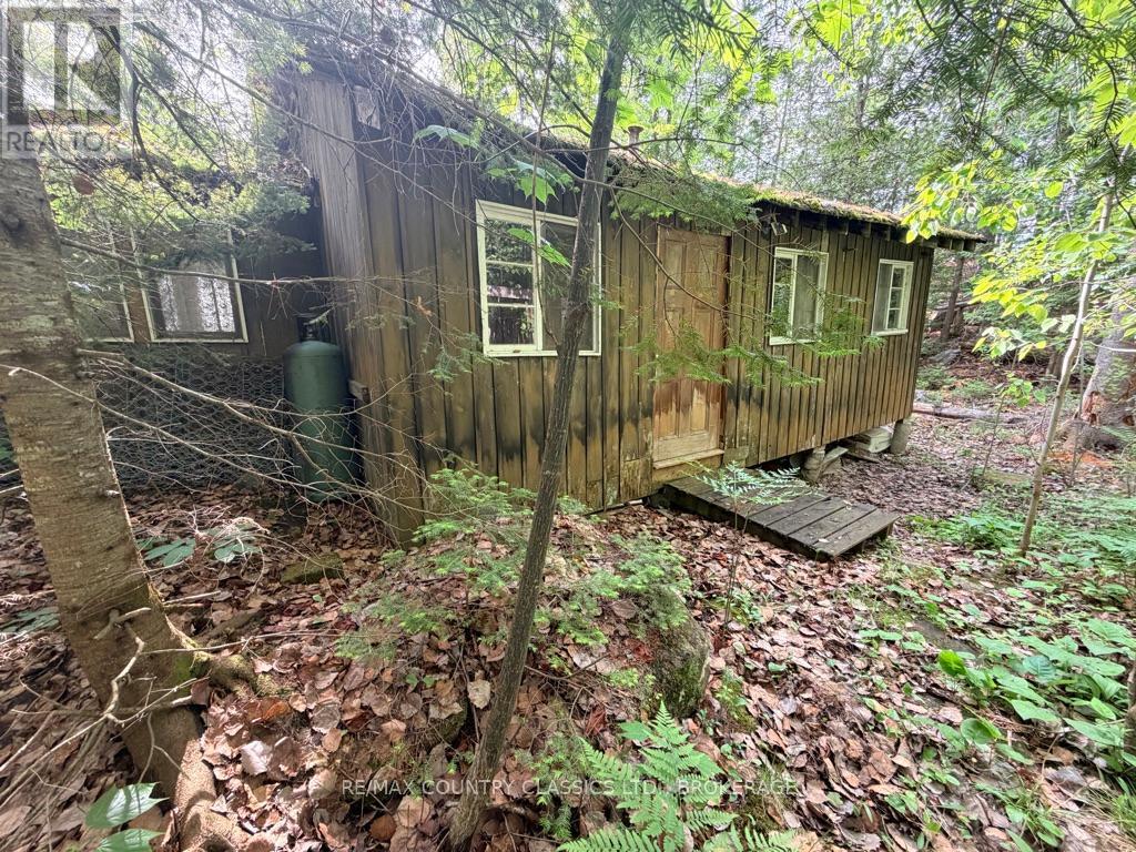860 Mazinaw Lake Property Photo 6
