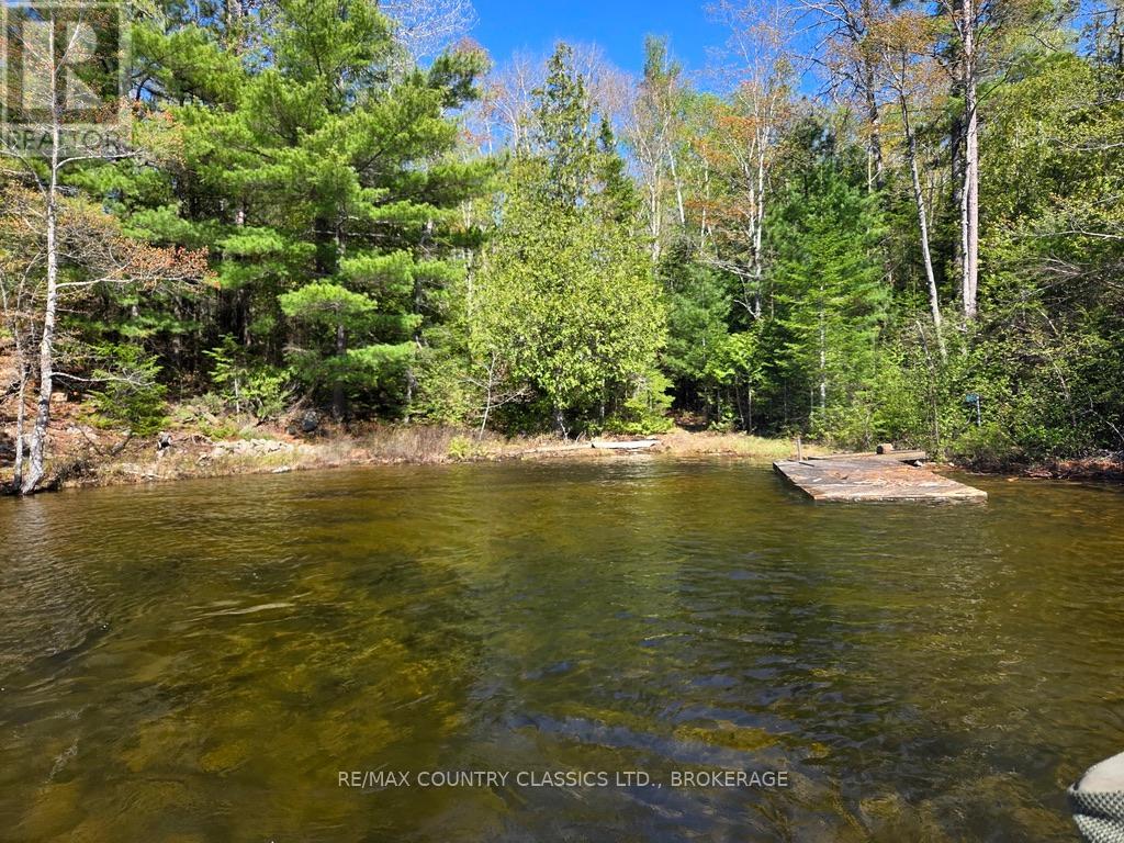 860 Mazinaw Lake Property Photo 15