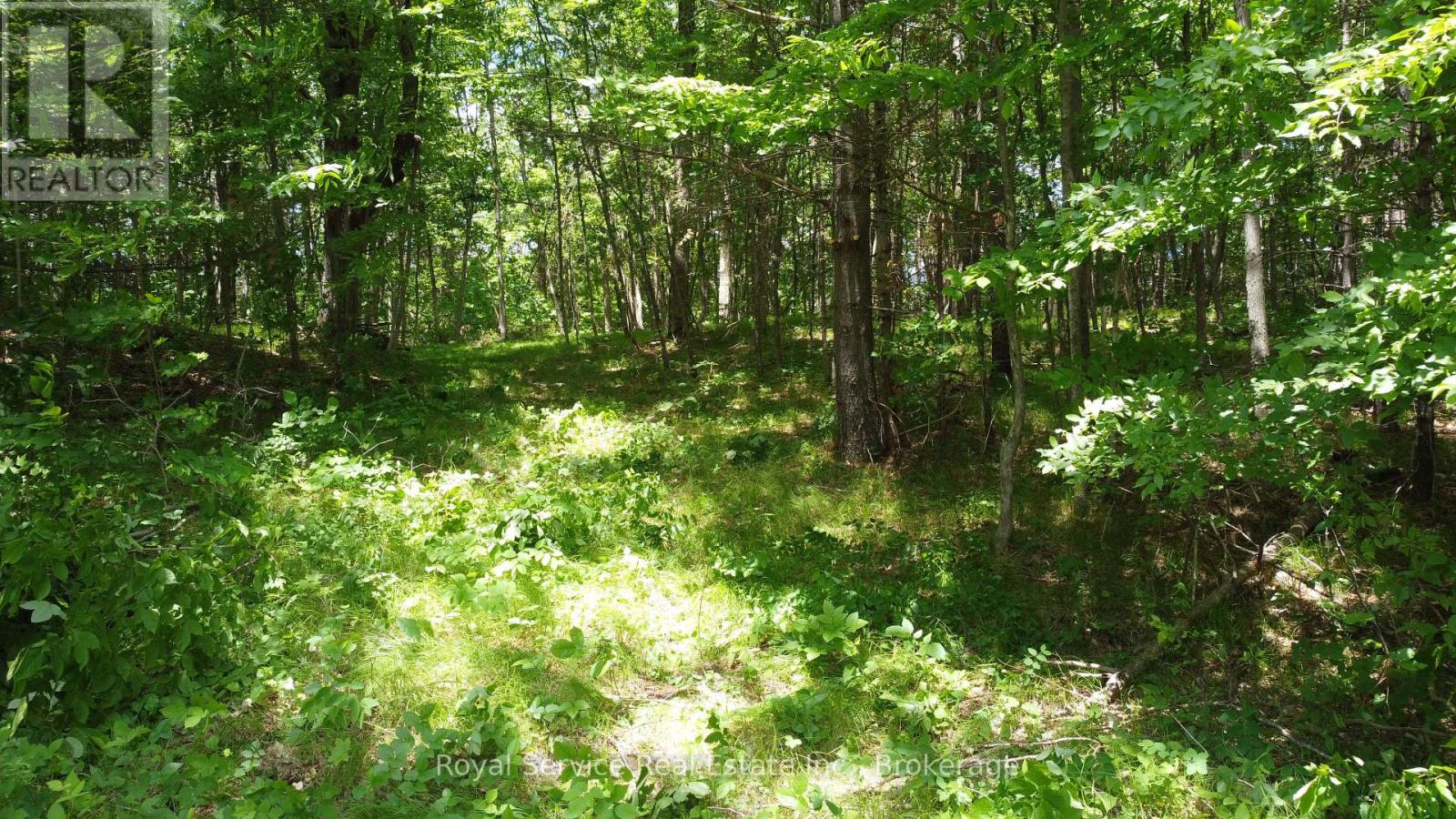1794 Springbrook Road Property Photo 2