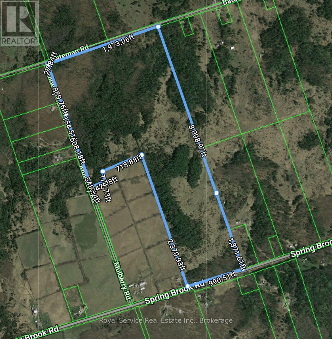 1794 Springbrook Road Property Photo 3