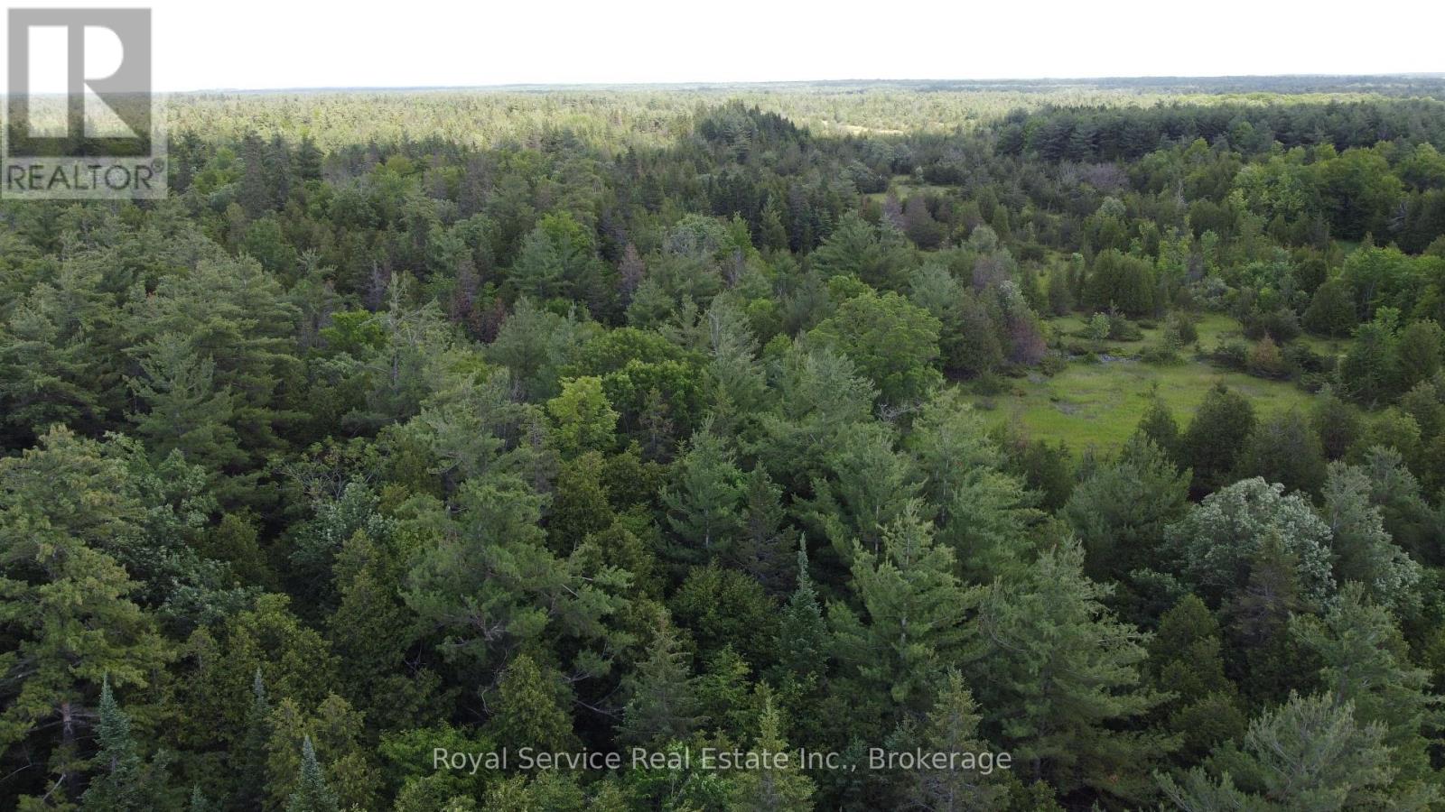 1794 Springbrook Road Property Photo 5