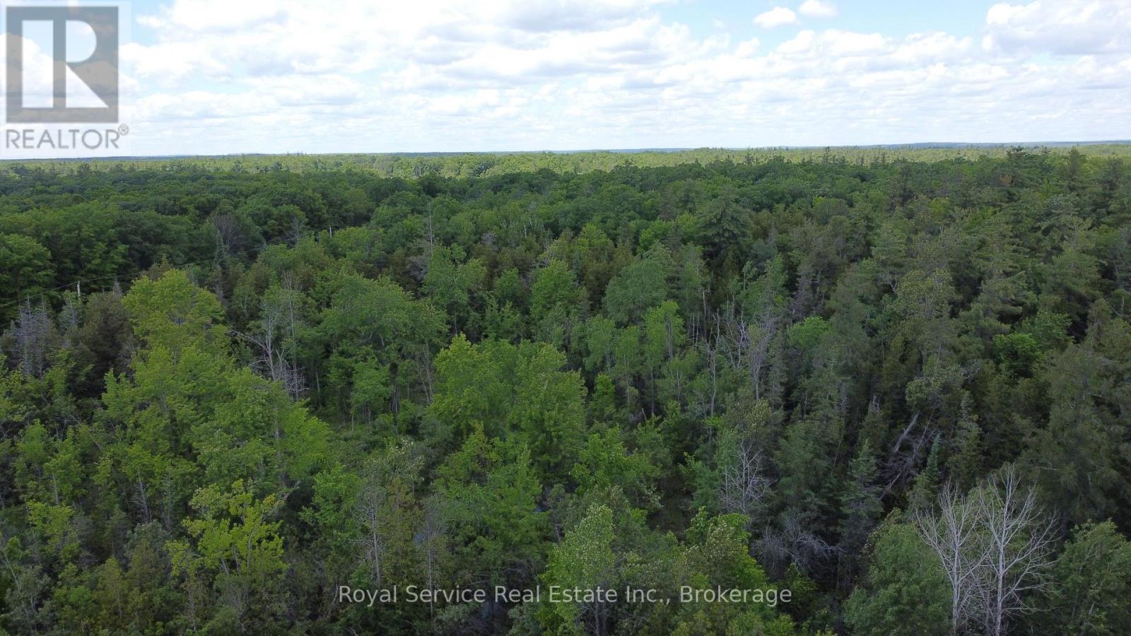 1794 Springbrook Road Property Photo 6