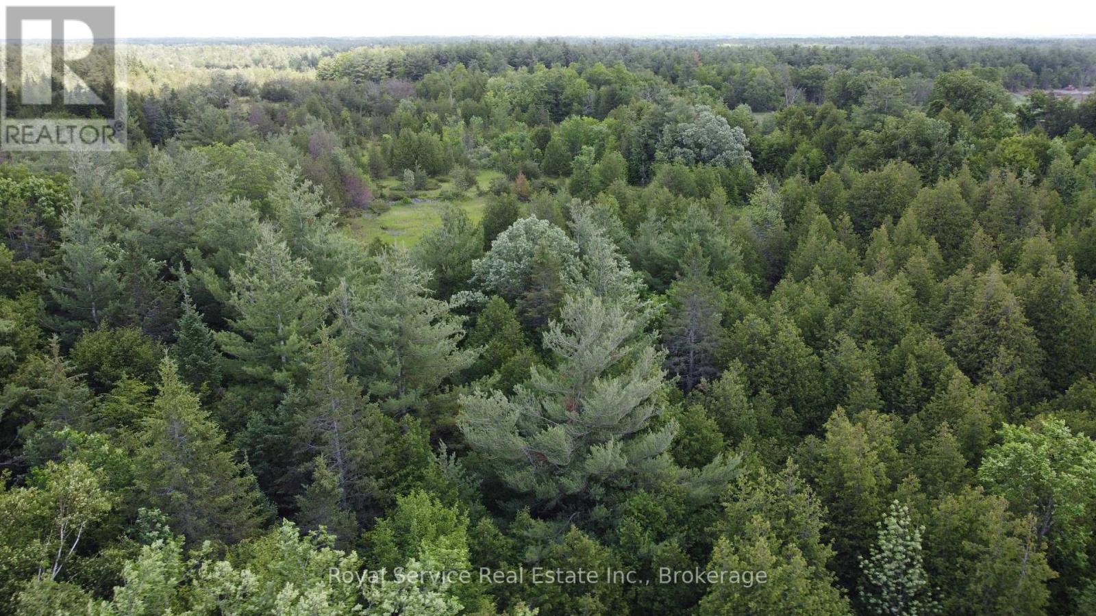1794 Springbrook Road Property Photo 7