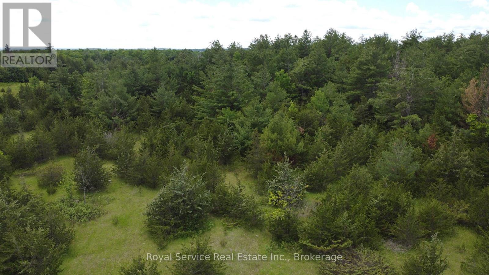 1794 Springbrook Road Property Photo 16