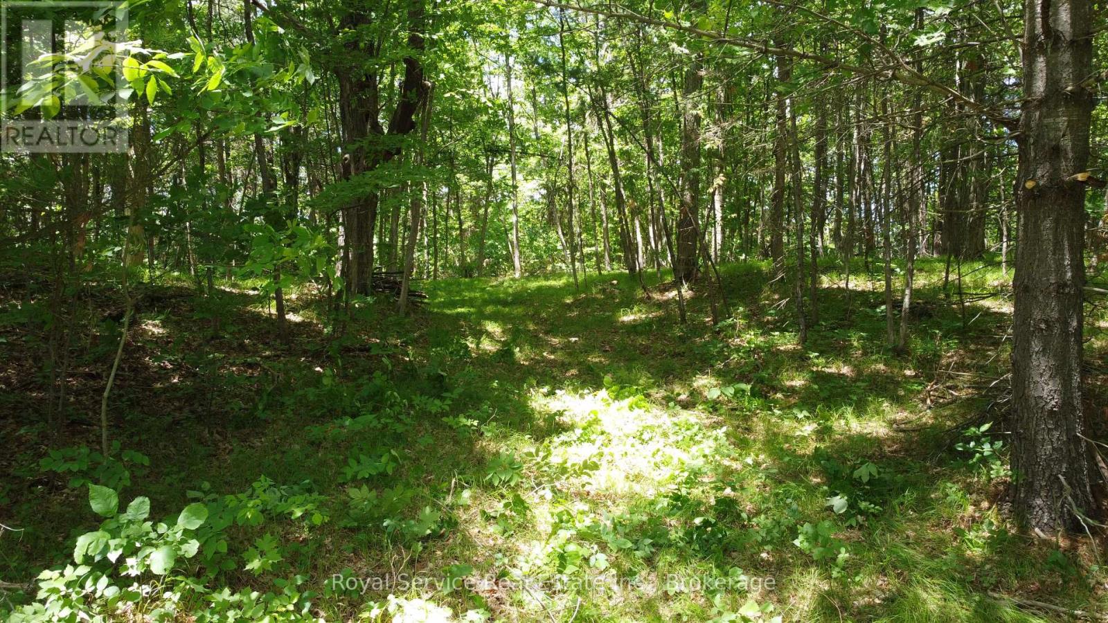 1794 Springbrook Road Property Photo 22