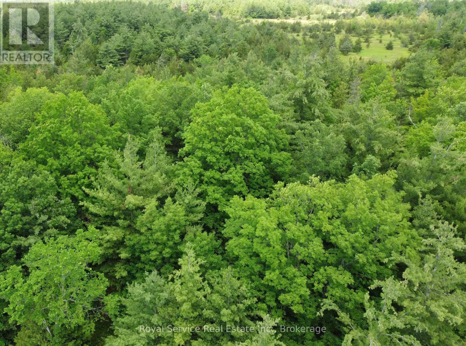 1794 Springbrook Road Property Photo 24