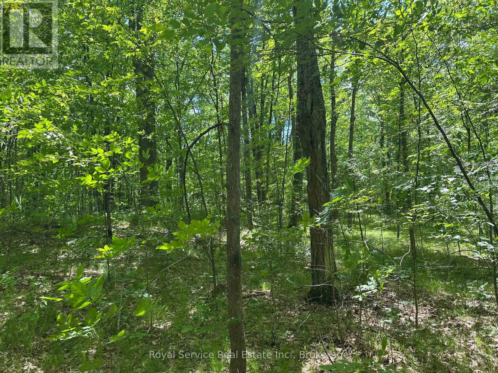 1794 Springbrook Road Property Photo 29