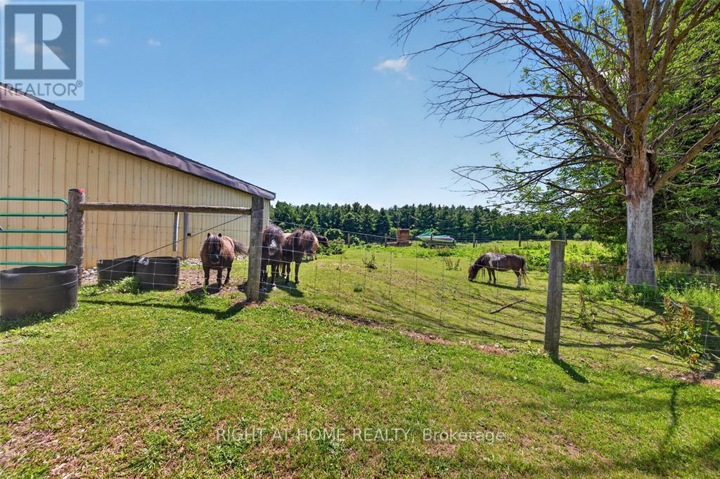 41073 Londesboro Road Property Photo 33