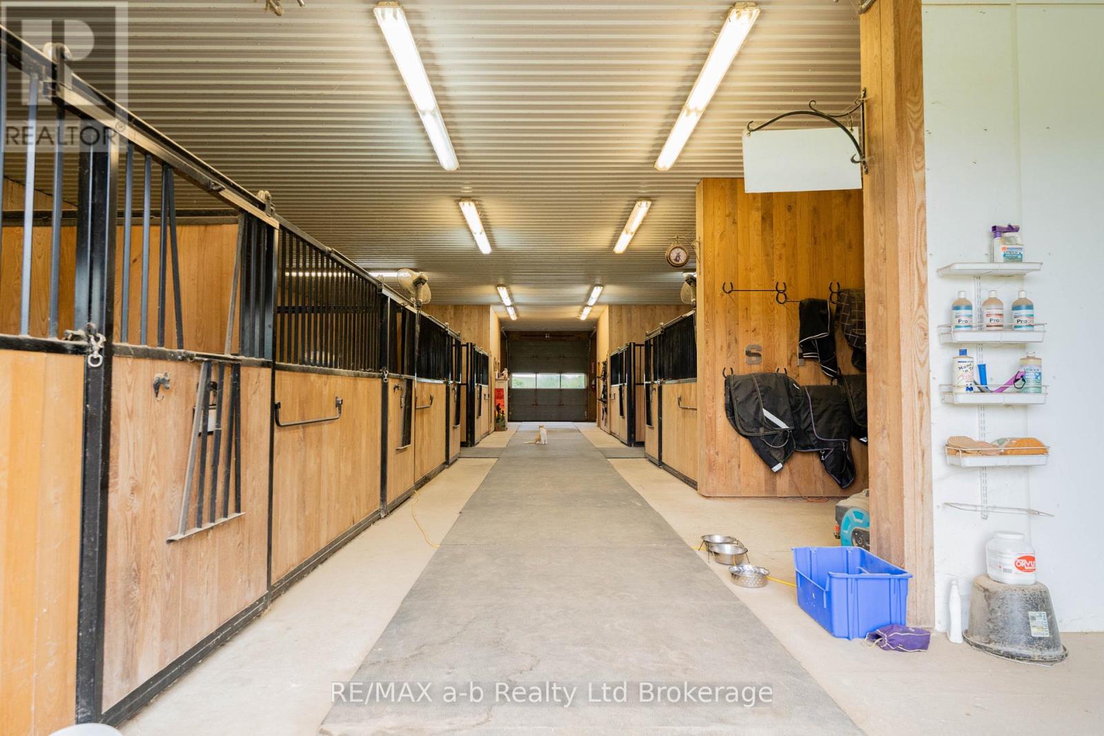 55226 Best Line Property Photo 34