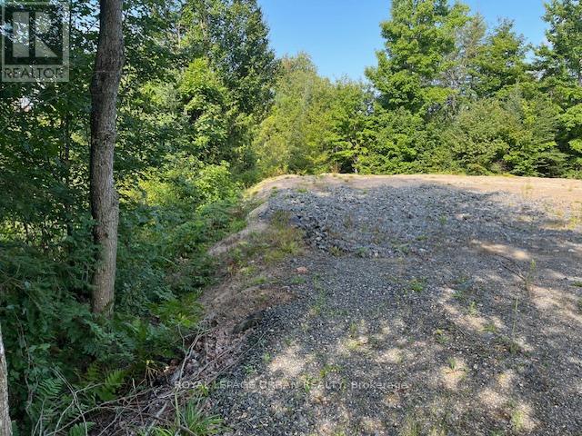 836 Rye Road Property Photo 3