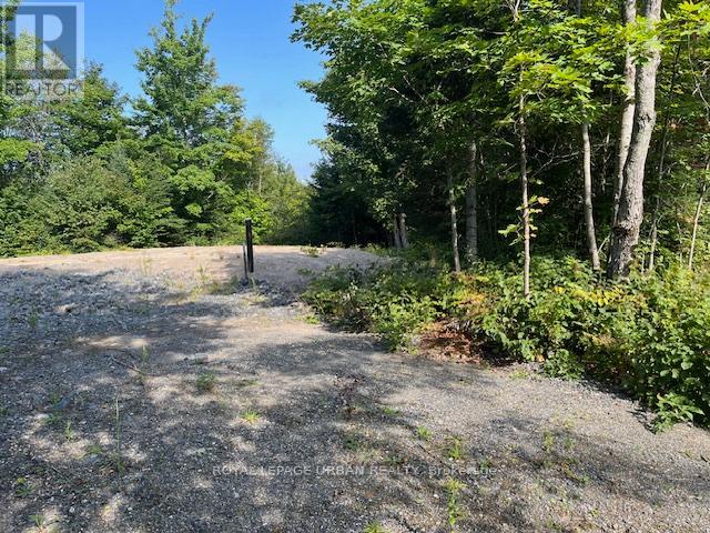 836 Rye Road Property Photo 5