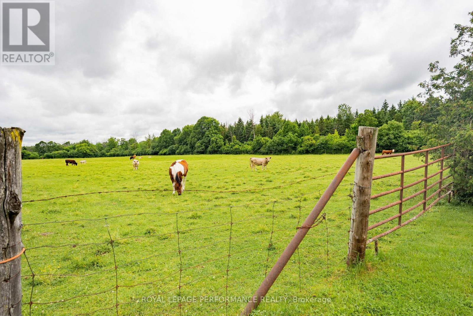 20195 Kenyon Conc Rd 1 Road Property Photo 10