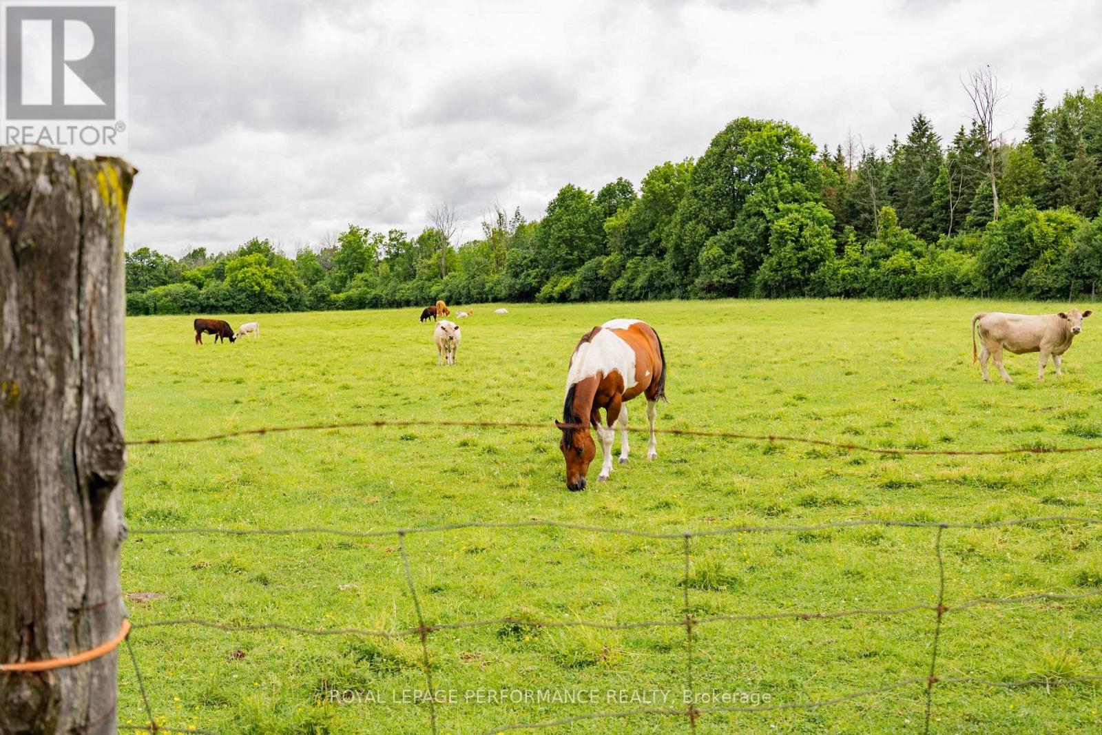 20195 Kenyon Conc Rd 1 Road Property Photo 11