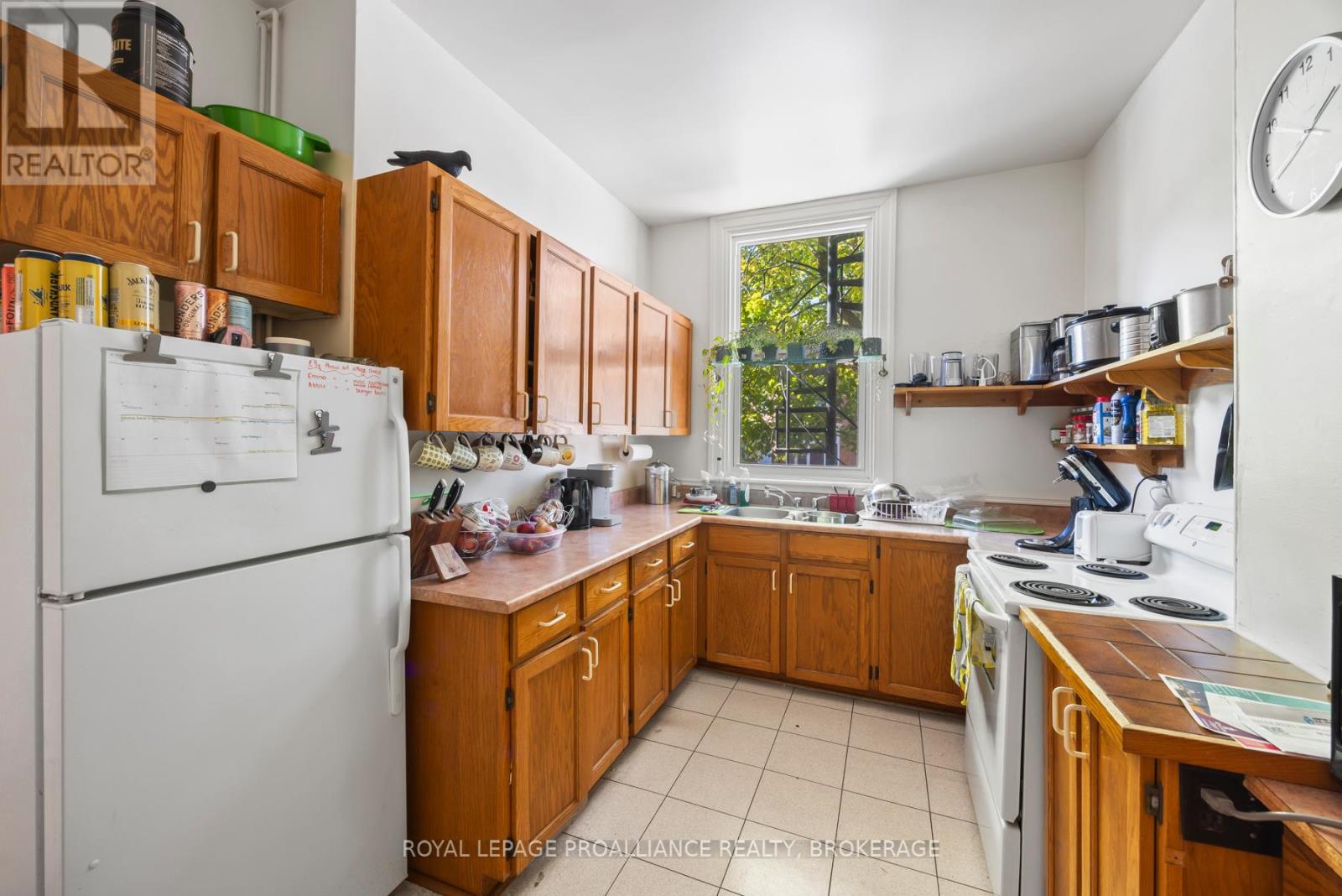 217 William Street Property Photo 16