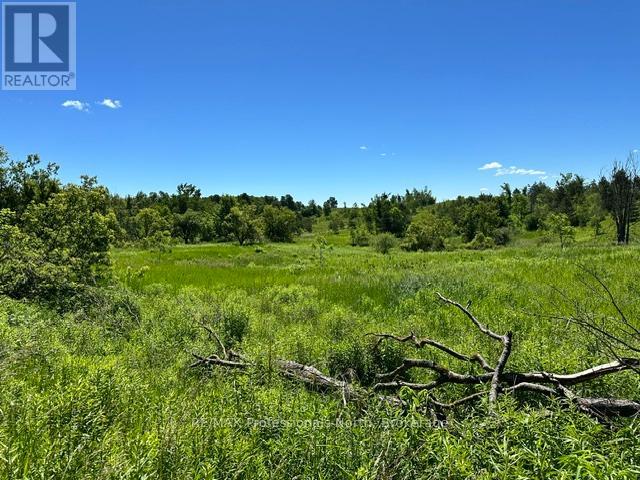 555463 Mono-amaranth Townline Property Photo 30