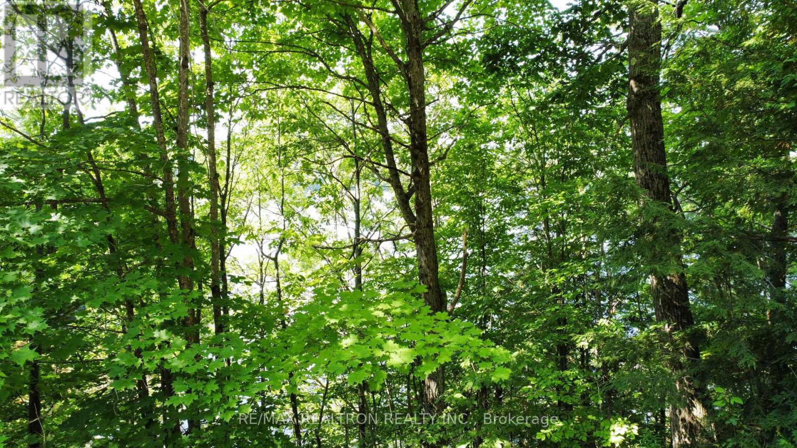 1030 Mccabe Road Property Photo 7