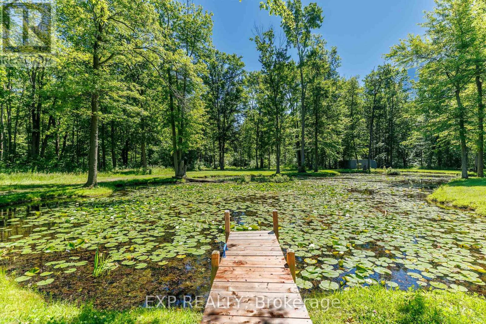 50849 O'reilly's Road S Property Photo 40