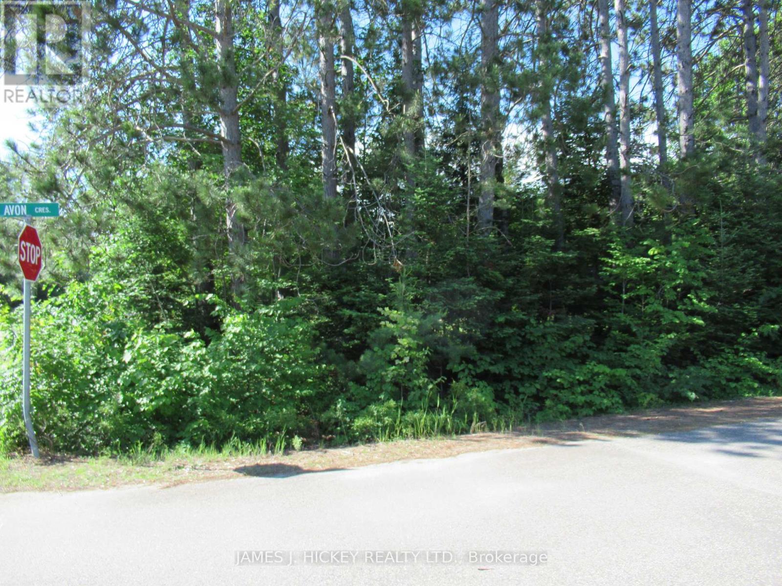 Lt 99 Avon Road Property Photo 3