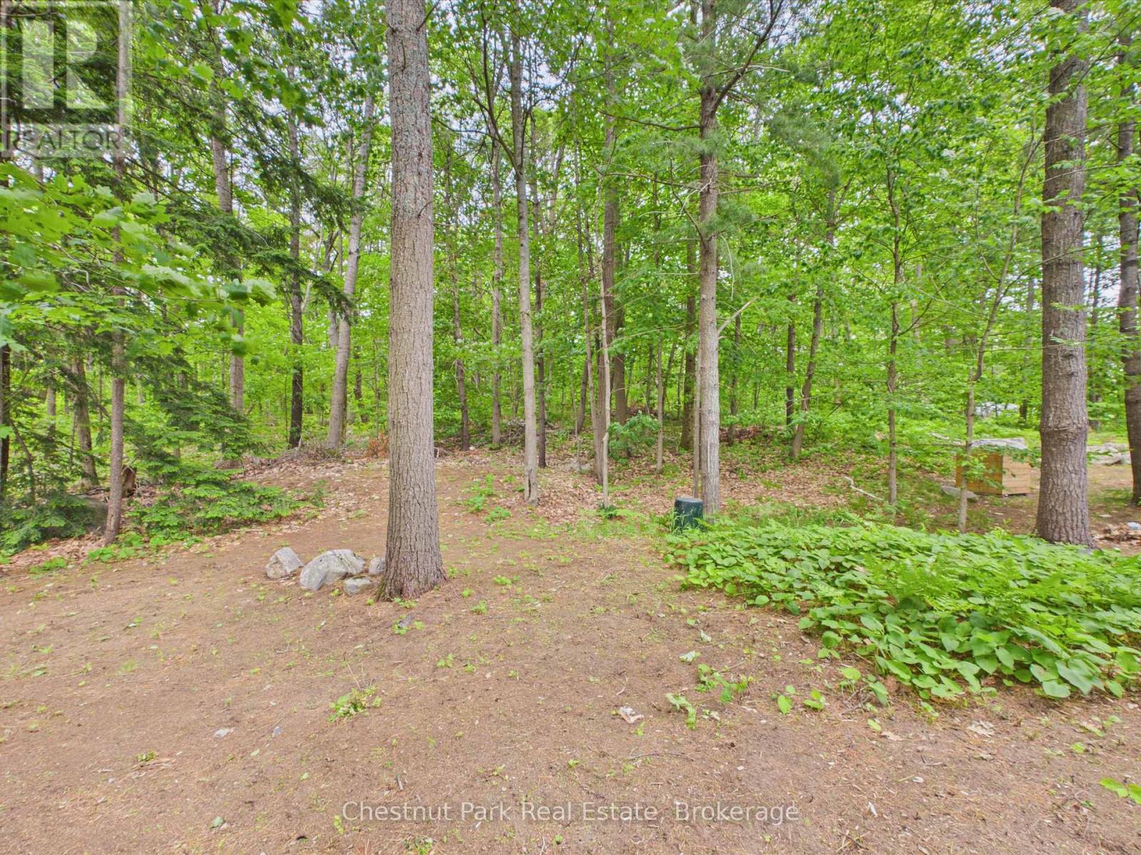 51 Taylor Island Property Photo 38