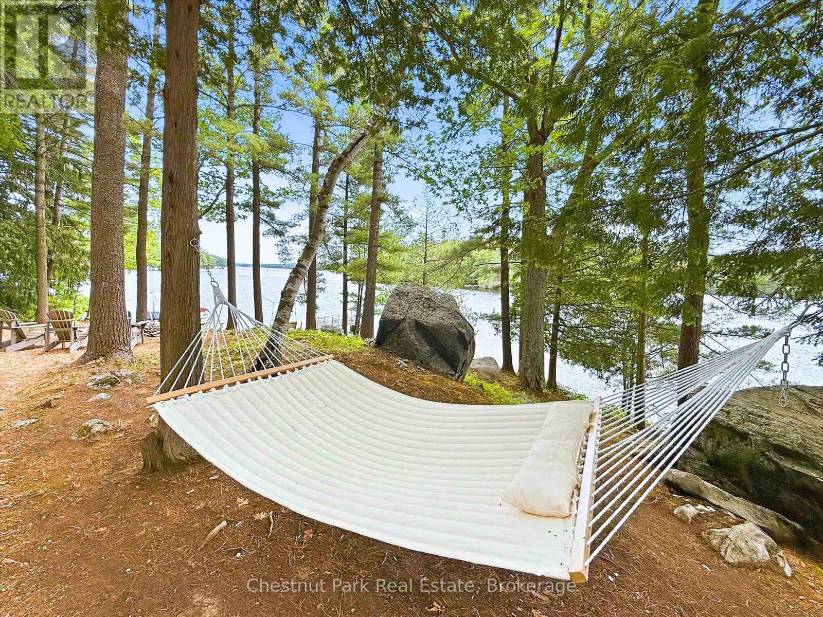 51 Taylor Island Property Photo 39