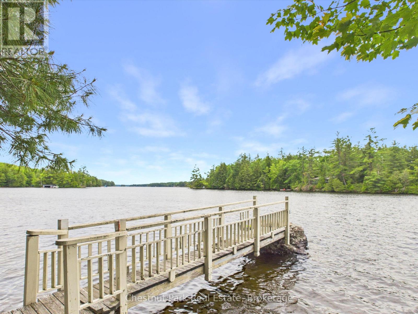 51 Taylor Island Property Photo 46