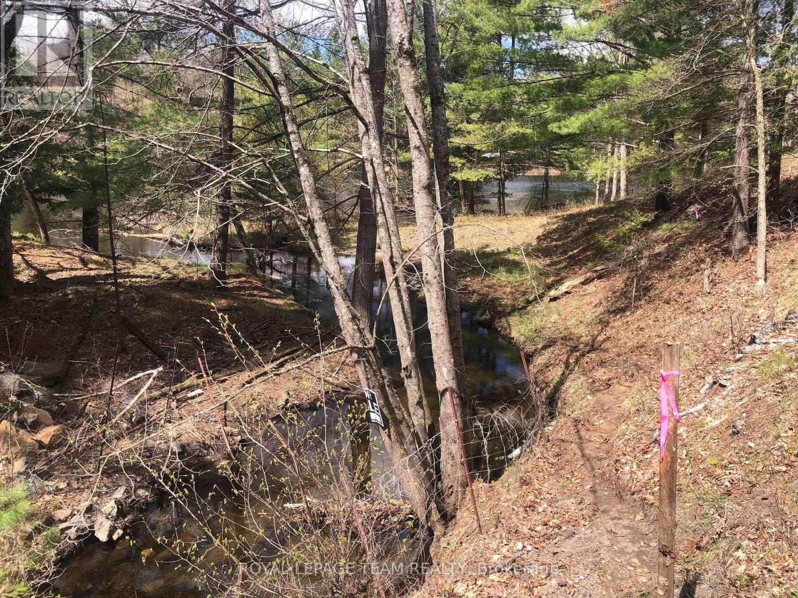 00 Little Silver Lake Road Property Photo 12