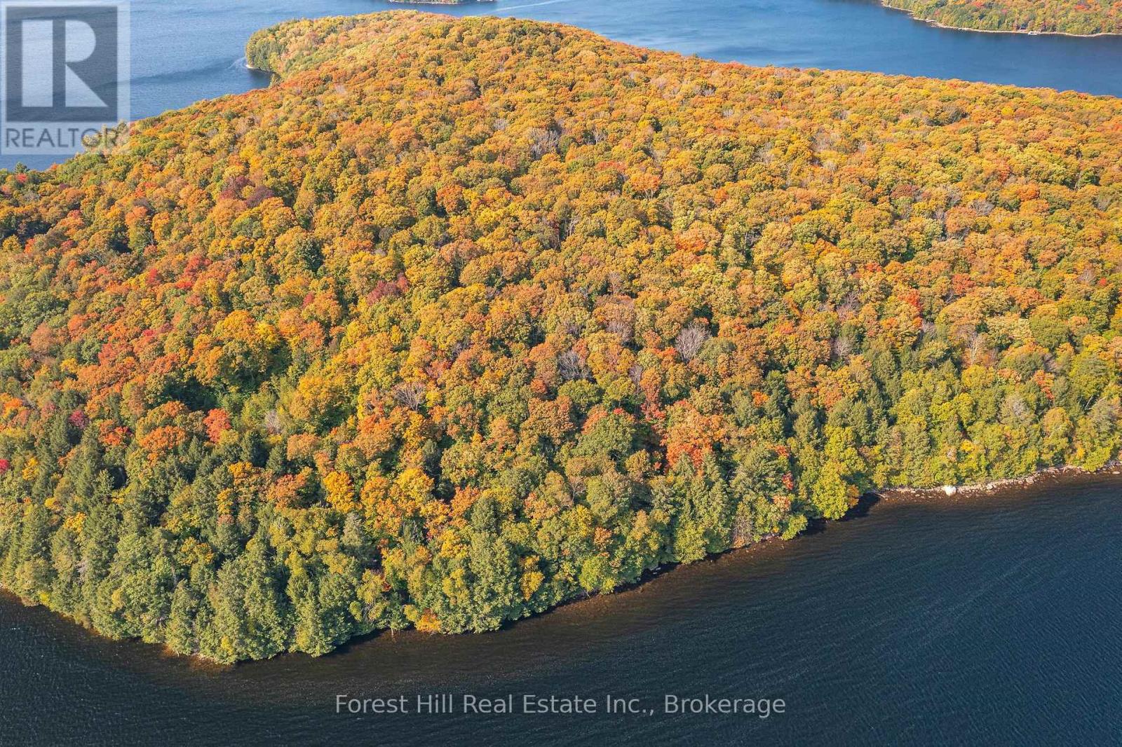 0 Bear Island Property Photo 5