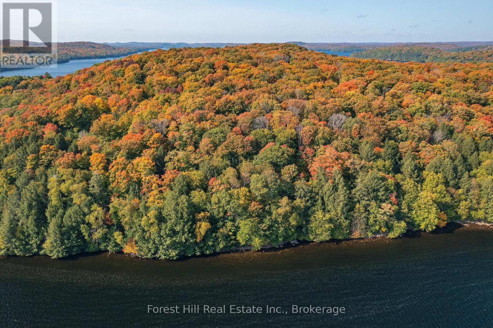 0 Bear Island Property Photo 7