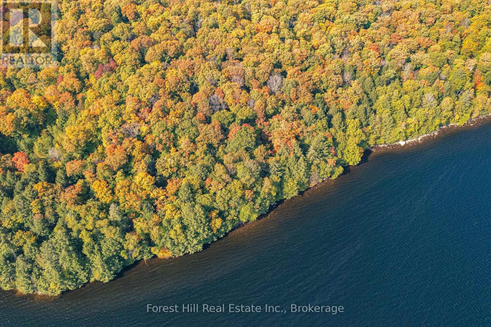 0 Bear Island Property Photo 31