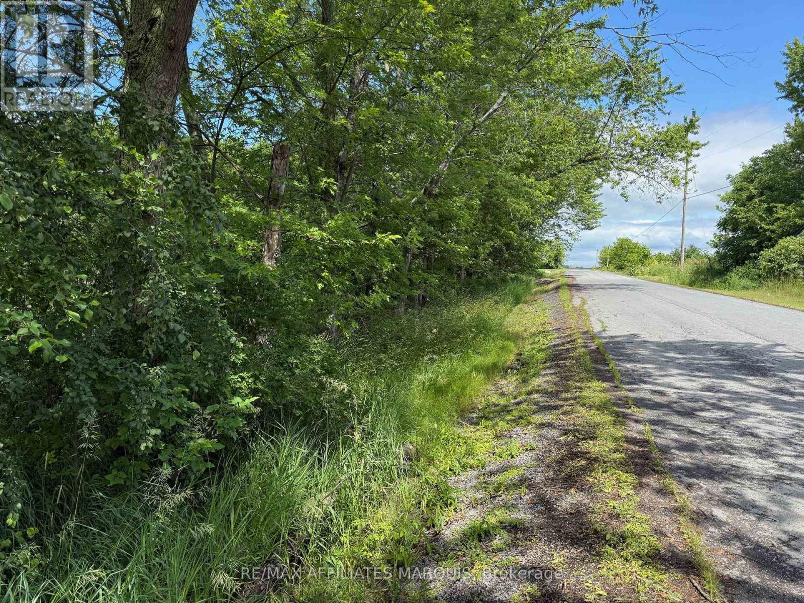 231 Wellington ( Pin-451060369) Street Property Photo 4