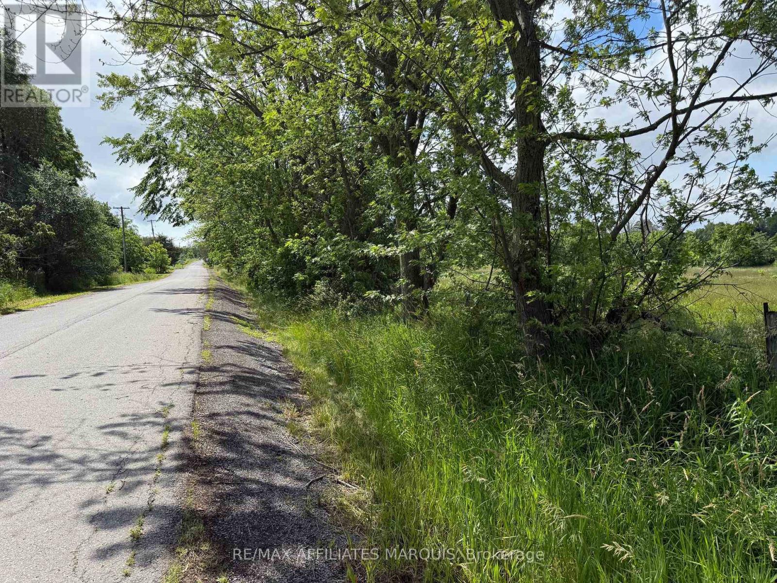 231 Wellington ( Pin-451060369) Street Property Photo 5