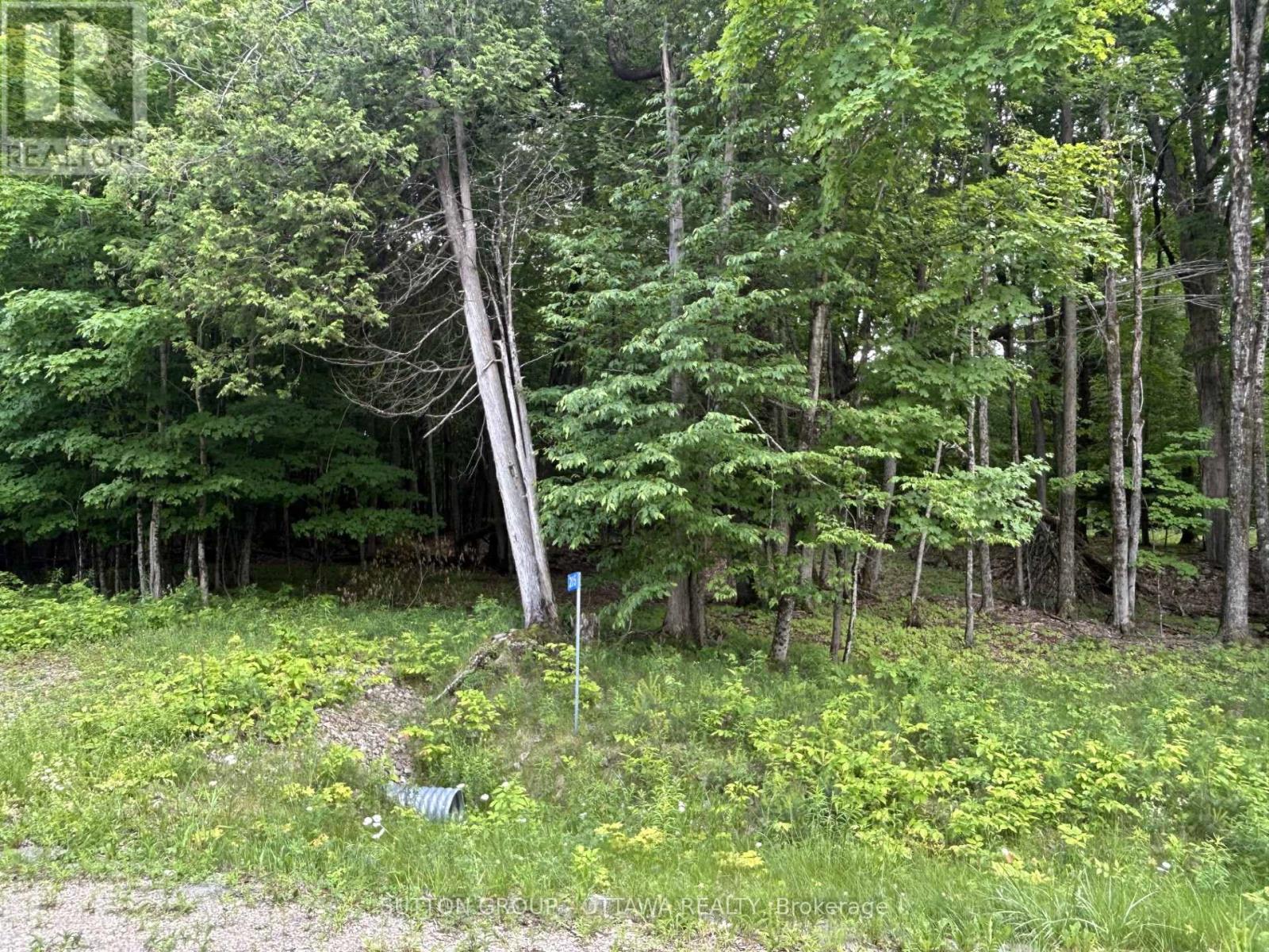 14 Lumberjack Trail Property Photo 2