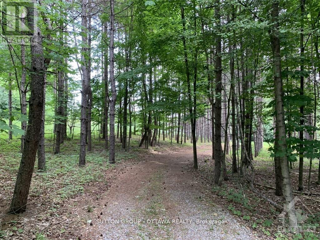 14 Lumberjack Trail Property Photo 4