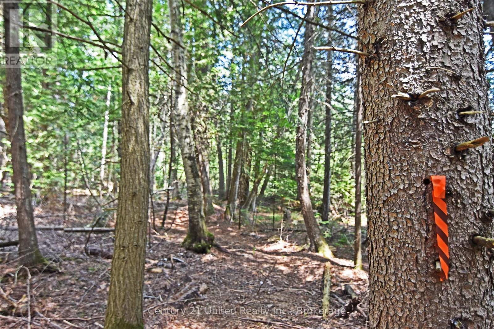 707 S Dummer 8th Line Road Property Photo 12