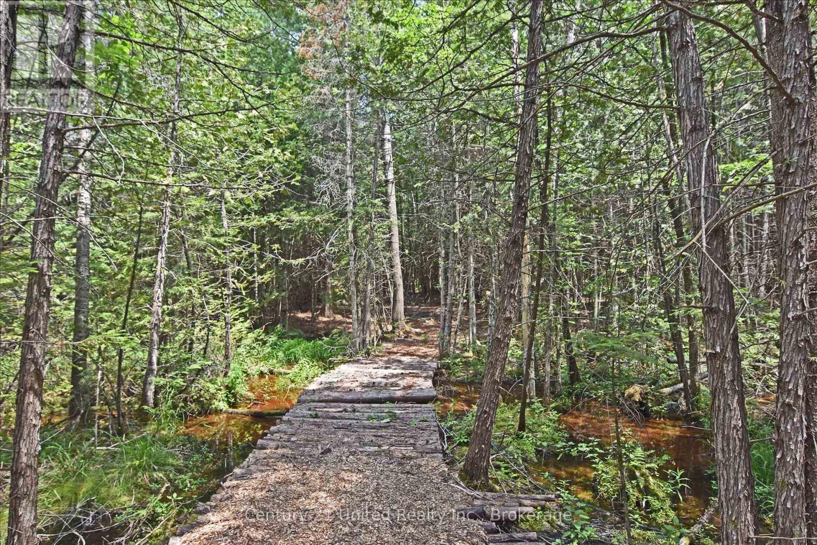 707 S Dummer 8th Line Road Property Photo 13