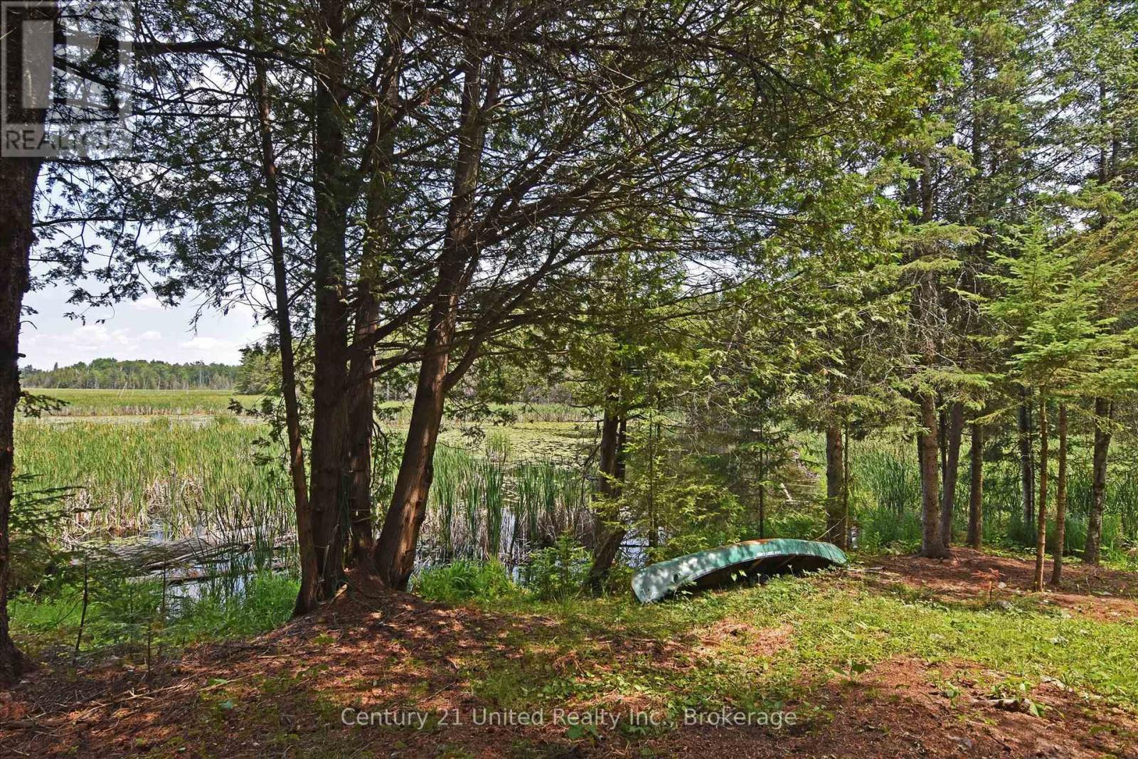 707 S Dummer 8th Line Road Property Photo 16