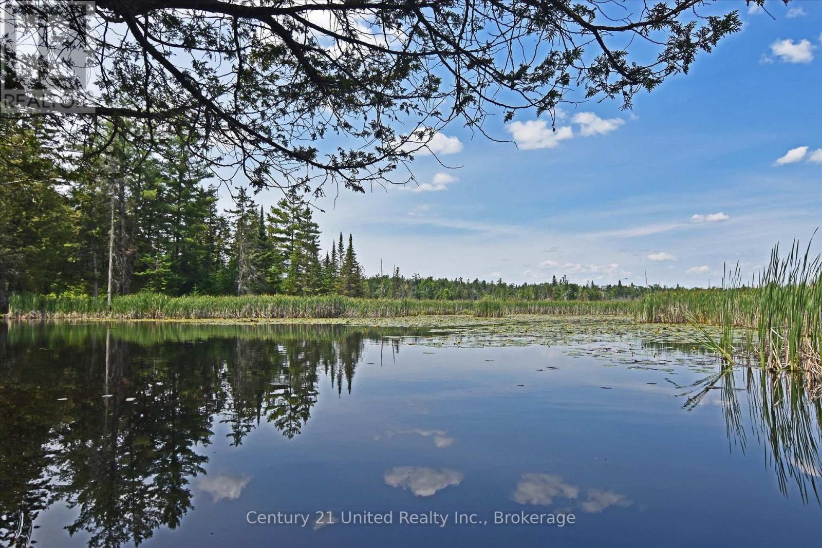 707 S Dummer 8th Line Road Property Photo 18