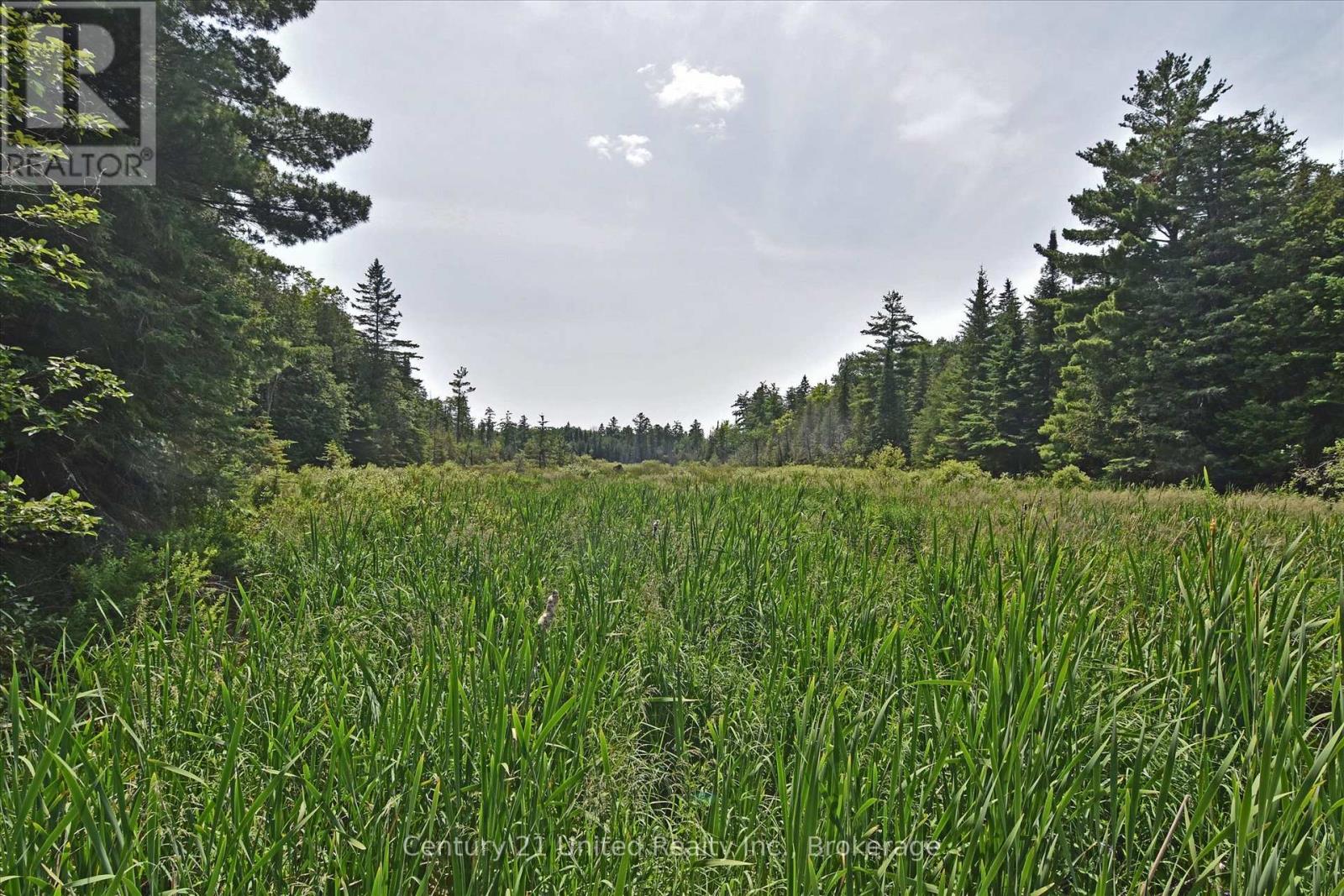 707 S Dummer 8th Line Road Property Photo 19