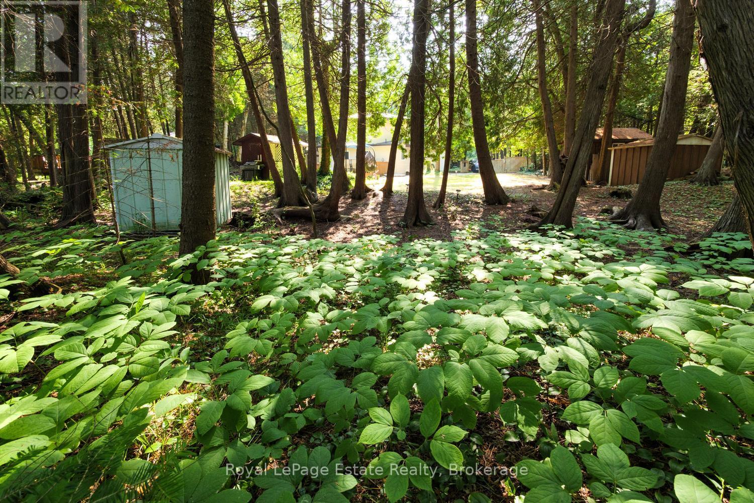 125 Third Avenue N Property Photo 28