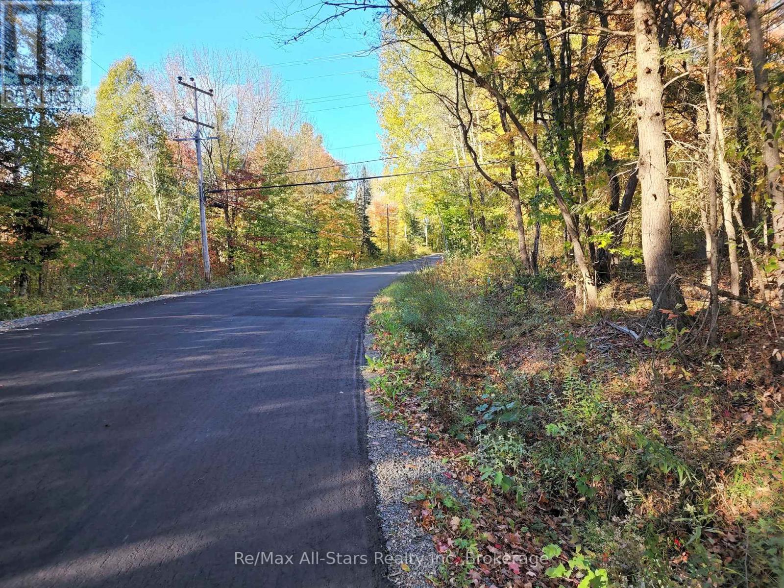 A Tally Ho Winter Park Road Property Photo 6