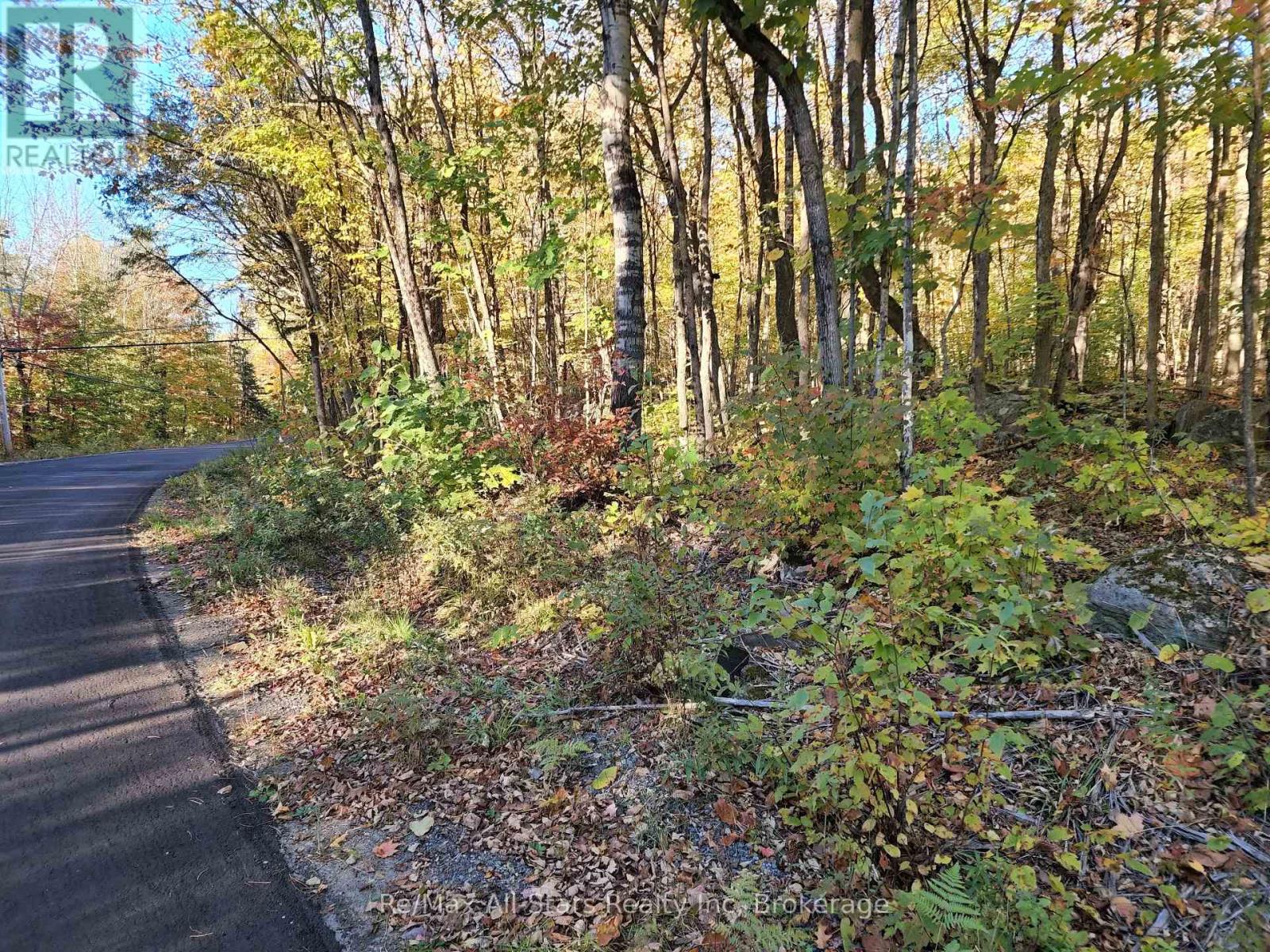 A Tally Ho Winter Park Road Property Photo 10