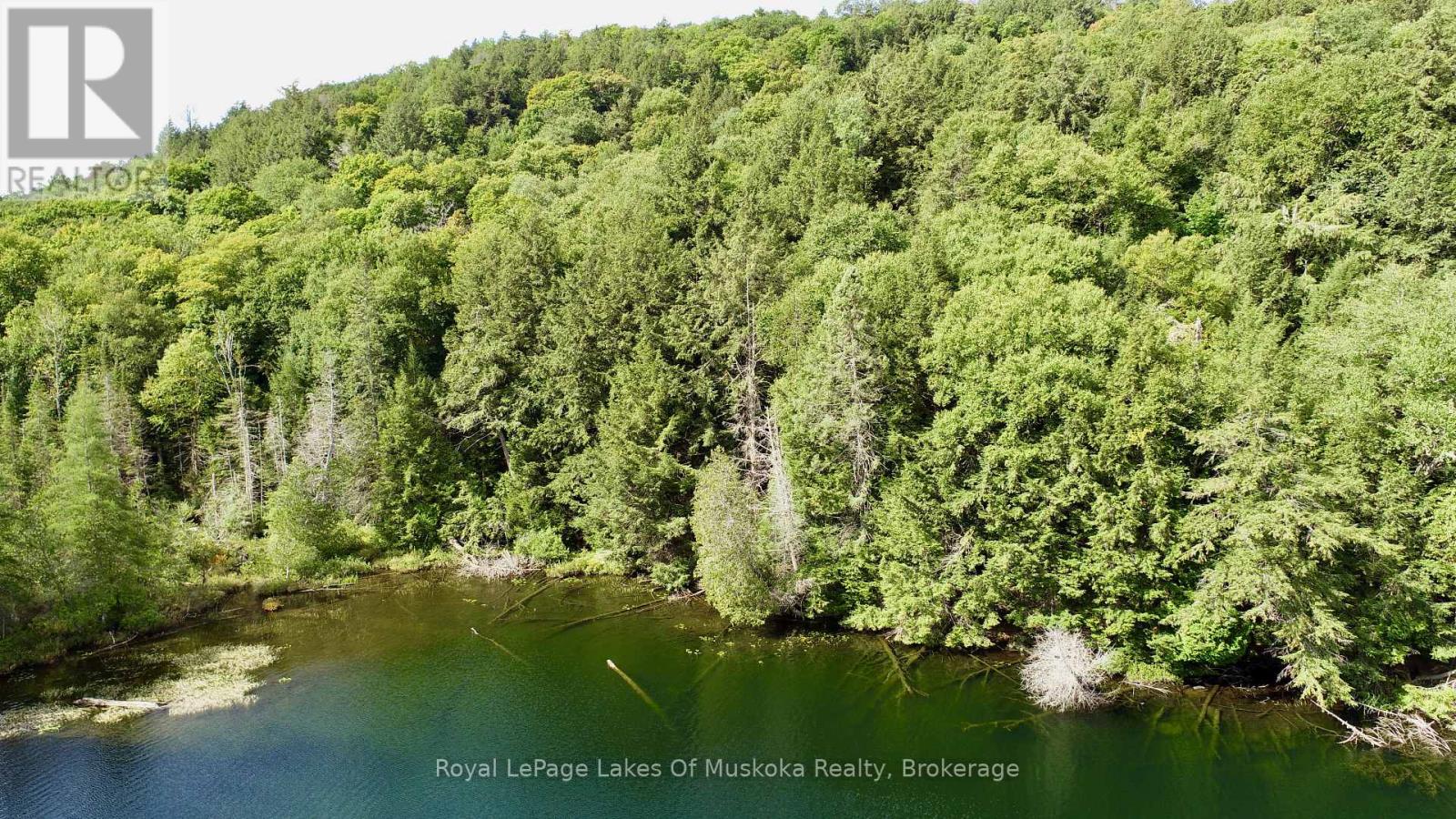 0 Island Lake Wao Island Property Photo 5