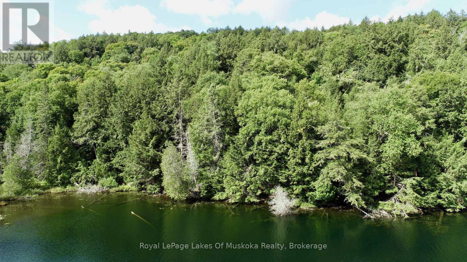 0 Island Lake Wao Island Property Photo 9