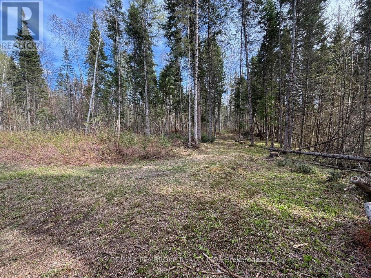 3068 Mclaughlin Road Property Photo 7
