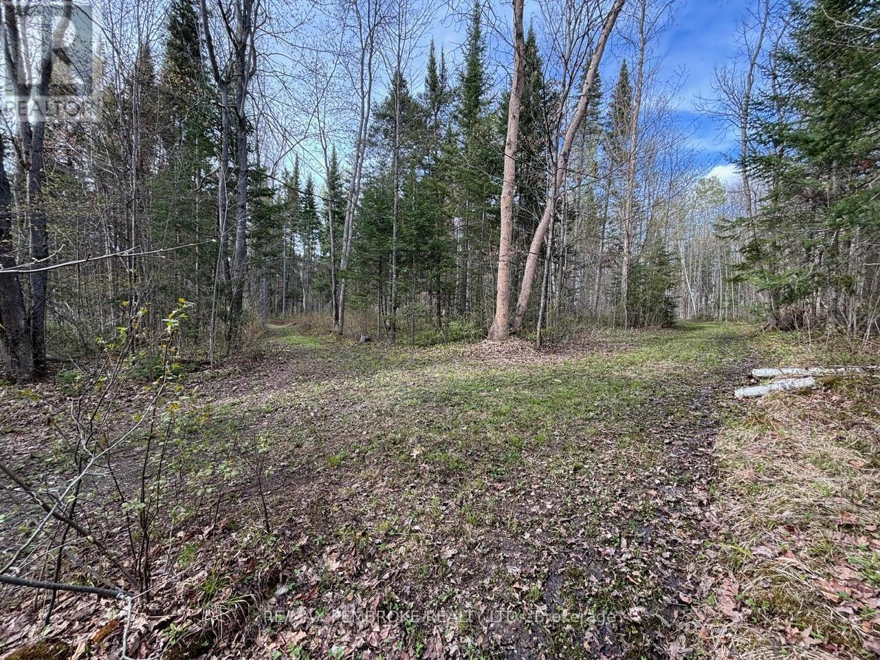 3068 Mclaughlin Road Property Photo 8