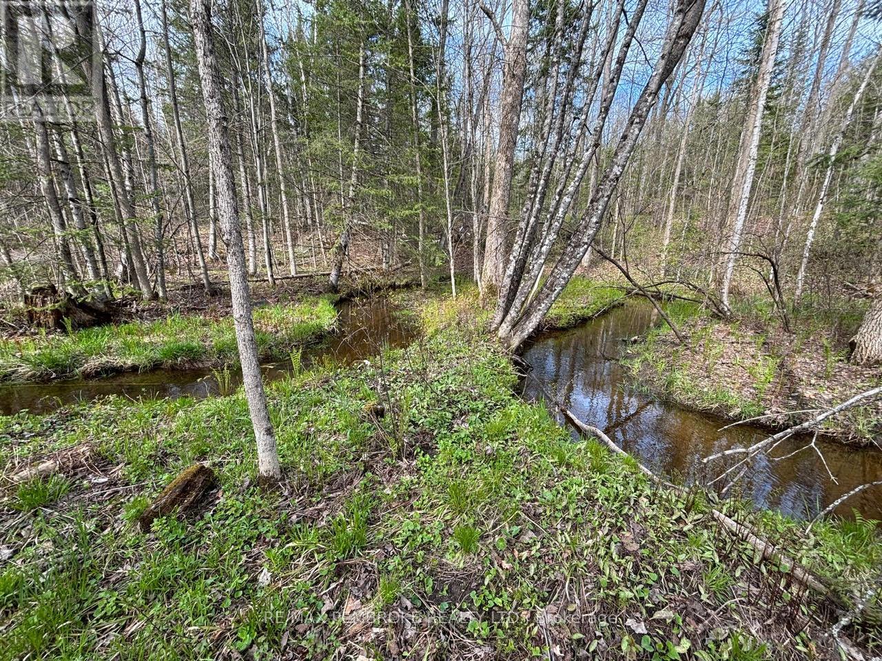3068 Mclaughlin Road Property Photo 10