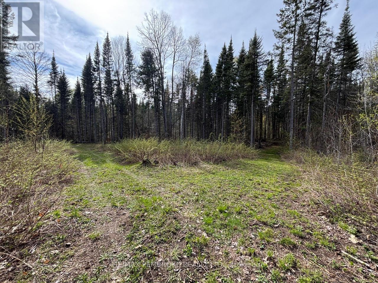 3068 Mclaughlin Road Property Photo 12